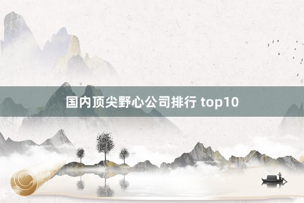 国内顶尖野心公司排行 top10